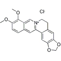 氨基胍硫酸盐